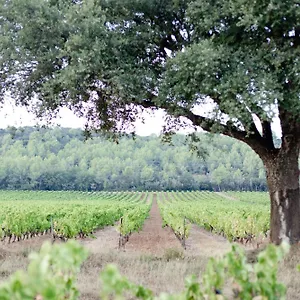 Domaine De Sigalous , La Crau France